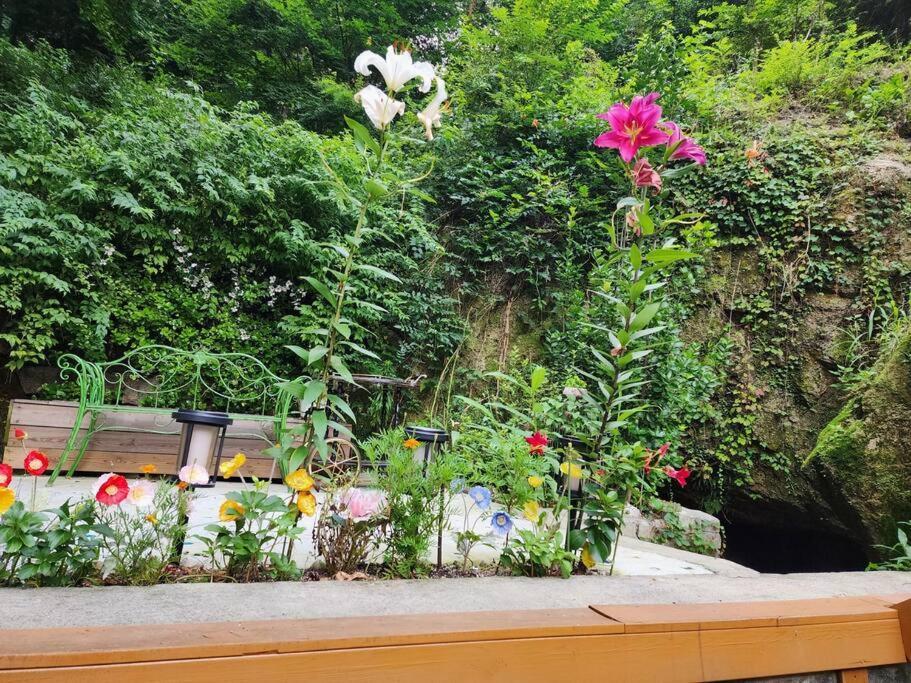 Seochon Secret Cave House วันหยุดที่บ้าน